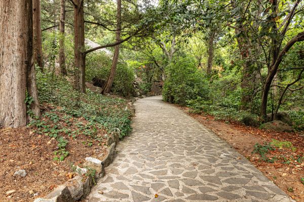 Stone Walkway Repair Service