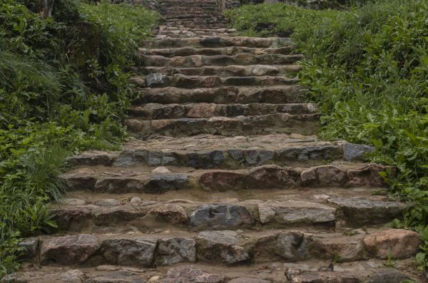 Stone Step Refurbishment