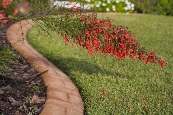 Brick Edging in Spanish Fork