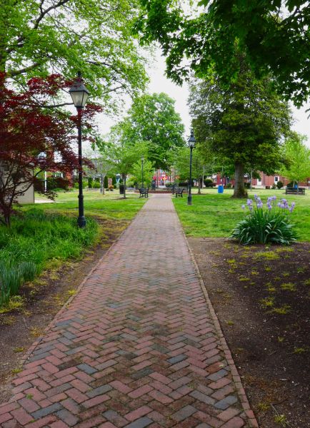 Brick Pathway Repair