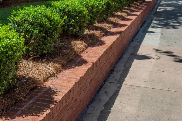 Brick Bordering